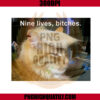 Trump Cat Nine Lives Bitches PNG
