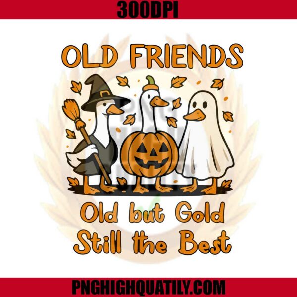 Old Friends Old But Gold Still The Best Png, Spooky Goose Png, Silly Goose Halloween Png
