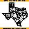 Stars at Night are Big and Bright Svg I Love Texas Svg