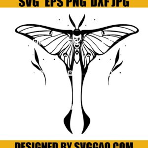 Luna Moth SVG, Butterfly SVG, Moth SVG