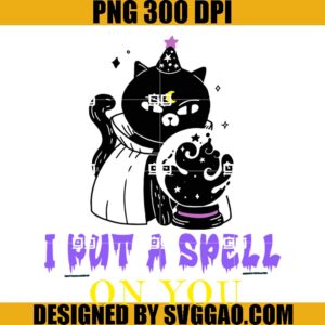 Witchy Black Cat With Crystal Ball I Put A Spell On You PNG, Cat Witch PNG