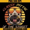 Classy PITTIE Of The Street PNG, Dog PNG