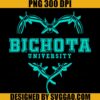 Bichota University PNG, Karol G Cozy PNG