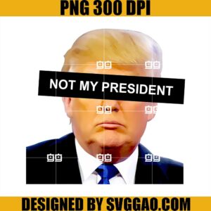 Trump Not President PNG, Donald Trump Not Guilty PNG