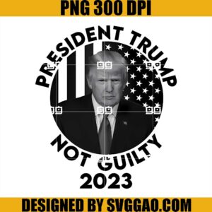 President Trump Not Guilty 2023 PNG, Trump Mugshot PNG, Trump And Flag US PNG