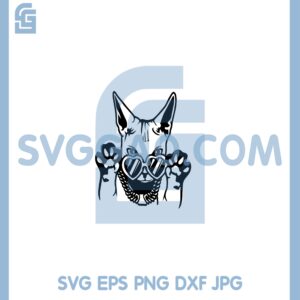 Cute Funny Cat Dog Files Svg, Cat Rich Svg, Cat Animal Svg