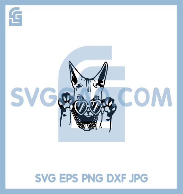 Cute Funny Cat Dog Files Svg, Cat Rich Svg, Cat Animal Svg