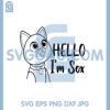 Hello i_m Sox Svg, Sox Buzz Lightyear Svg, Cat Toy Story Svg