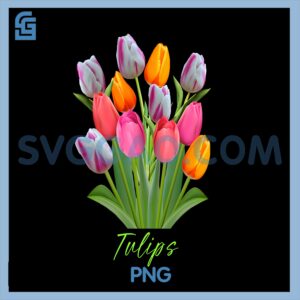 Beautiful Pink White Purple and Yellow PNG, Tulips flowers PNG