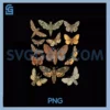 Vintage Moth Cottagecore Aesthetic PNG, Goblincore Dark Academia PNG