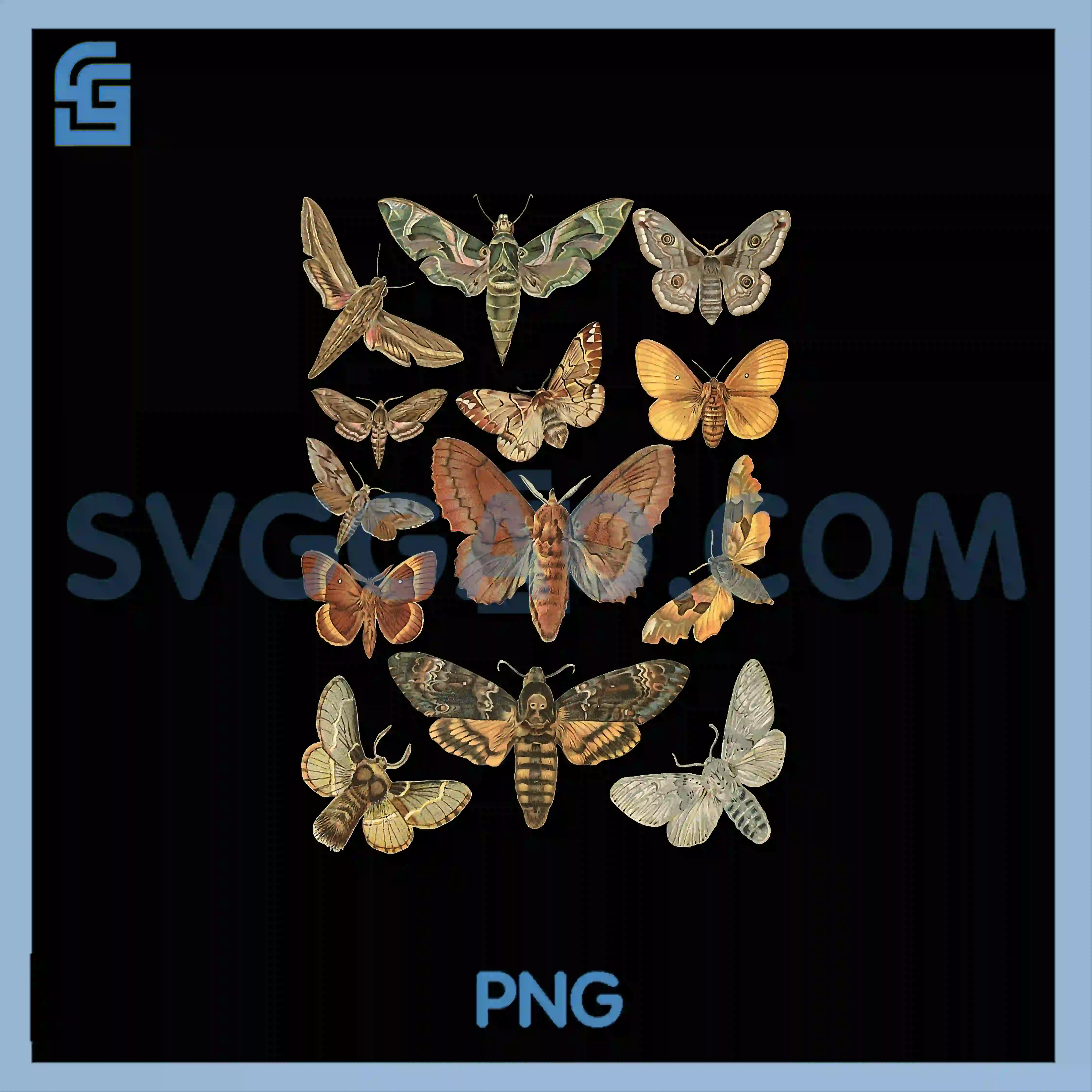 Vintage Moth Cottagecore Aesthetic PNG, Goblincore Dark Academia PNG copy Vintage Moth Cottagecore Aesthetic PNG, Goblincore Dark Academia PNG