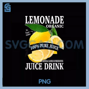 Lemonade Juice Box Drink PNG, Halloween Matching Family PNG