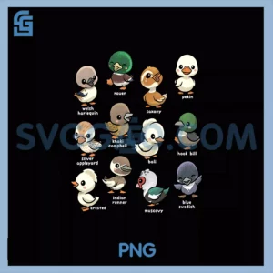 Cute Types of Duck Waterfowl Animals of the World PNG, Duck Lover PNG