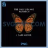 Retro Butterfly The Only Orange PNG, Monarch I Care About PNG