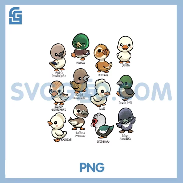 Cute Types of Duck Waterfowl PNG,Animals of the World Duck Lover PNG
