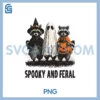 Halloween Raccoon PNG, Spooky And Feral PNG