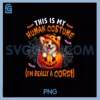 Halloween Joke Human PNG, Corgi In Carved Pumpkin PNG