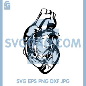 Human Heart Svg, Anatomical Heart Svg, Love Svg