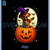 Cute Dachshund Jack O Lanterrn Halloween Men Women PNG
