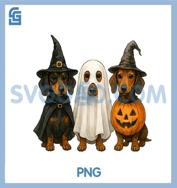 Dachshund Halloween Wiener Dog Pumpkin Weenie Witch PNG – SVGGAO