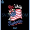 Red White & Blueberries Coquette Flag Bow PNG, Blueberries Bow PNG