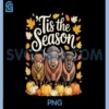 Tis The Season PNG, American Bison Buffalo Fall PNG, Autumn Pumpkin PNG
