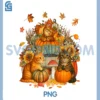 Funny Cats & Fall Autumn Leaves Sunflowers PNG, Thanksgiving Day PNG