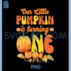 Our Little Pumpkin is Turning One Thanksgiving PNG, Moms Dads PNG