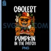 Halloween Coolest PNG, Pumpkin in The Patch PNG 2 Halloween Coolest PNG, Pumpkin in The Patch PNG