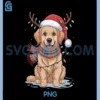 Cute Golden Retriever Christmas PNG, Lights Santa Hat Plaid Scarf PNG 1 Cute Golden Retriever Christmas PNG, Lights Santa Hat Plaid Scarf PNG
