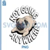 Not Going Anywhere Funny PNG, Dog Lazy Pug PNG 2 Not Going Anywhere Funny PNG, Dog Lazy Pug PNG