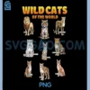 Wild Cats of The World PNG, Educational Animal Big Cat Types PNG