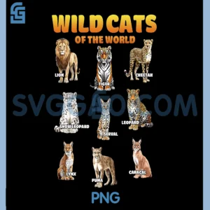 Wild Cats of The World PNG, Educational Animal Big Cat Types PNG