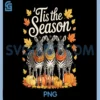 Tis The Season PNG, Zebra Fall Autumn PNG, Pumpkin Animal PNG