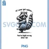 Vintage Raccoon Illustration PNG, Animal PNG 1 Vintage Raccoon Illustration PNG, Animal PNG