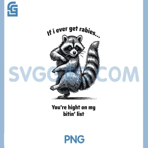 Vintage Raccoon Illustration PNG, Animal PNG