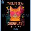 The Life of a Showcat PNG, Cute Party Girl Cat Sunglasses PNG