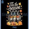 Tis The Season PNG, Zebra Fall Autumn Pumpkin Animal PNG