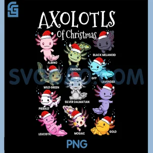 Axolotls Santa Hat Christmas PNG, Cute Animal Axolotl Xmas PNG