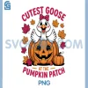 Cutest Goose at The Pumpkin PNG, Patch Funny Fall Thanksgiving PNG 2 Cutest Goose at The Pumpkin PNG, Patch Funny Fall Thanksgiving PNG