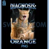 Diagnosis Orange PNG, Tabby Cat Energy Funny PNG 1 Diagnosis Orange PNG, Tabby Cat Energy Funny PNG