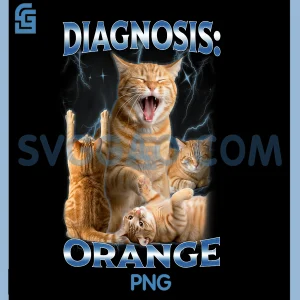 Diagnosis Orange PNG, Tabby Cat Energy Funny PNG