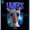 James The Cat Meme PNG, Funny Silly Cats Brainrot PNG, Meme Cat Lover PNG