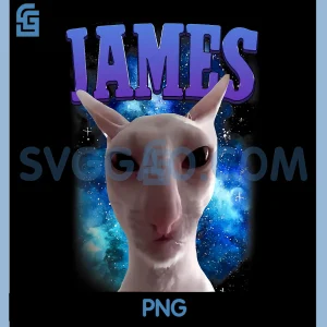James The Cat Meme PNG, Funny Silly Cats Brainrot PNG, Meme Cat Lover PNG
