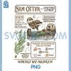 Retro Vintage Sea Otters PNG, Monterey Aquarium Lover PNG