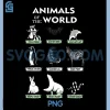 Animals of The World PNG, Funny Animal Real Names PNG