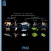 Diagram Showing Classification of Vertebrates PNG, Lover Animals PNG