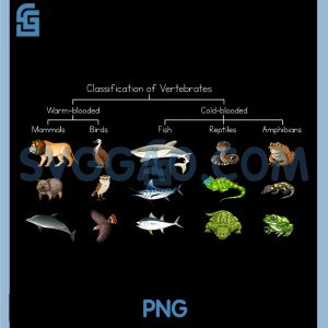 Diagram Showing Classification of Vertebrates PNG, Lover Animals PNG