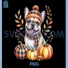 Cute French Bulldog PNG, Pumpkin Fall Thanksgiving Vibes PNG