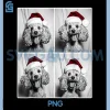 Funny Dog Selfie PNG, Christmas Selfie Xmas PNG, Poodle Meme PNG
